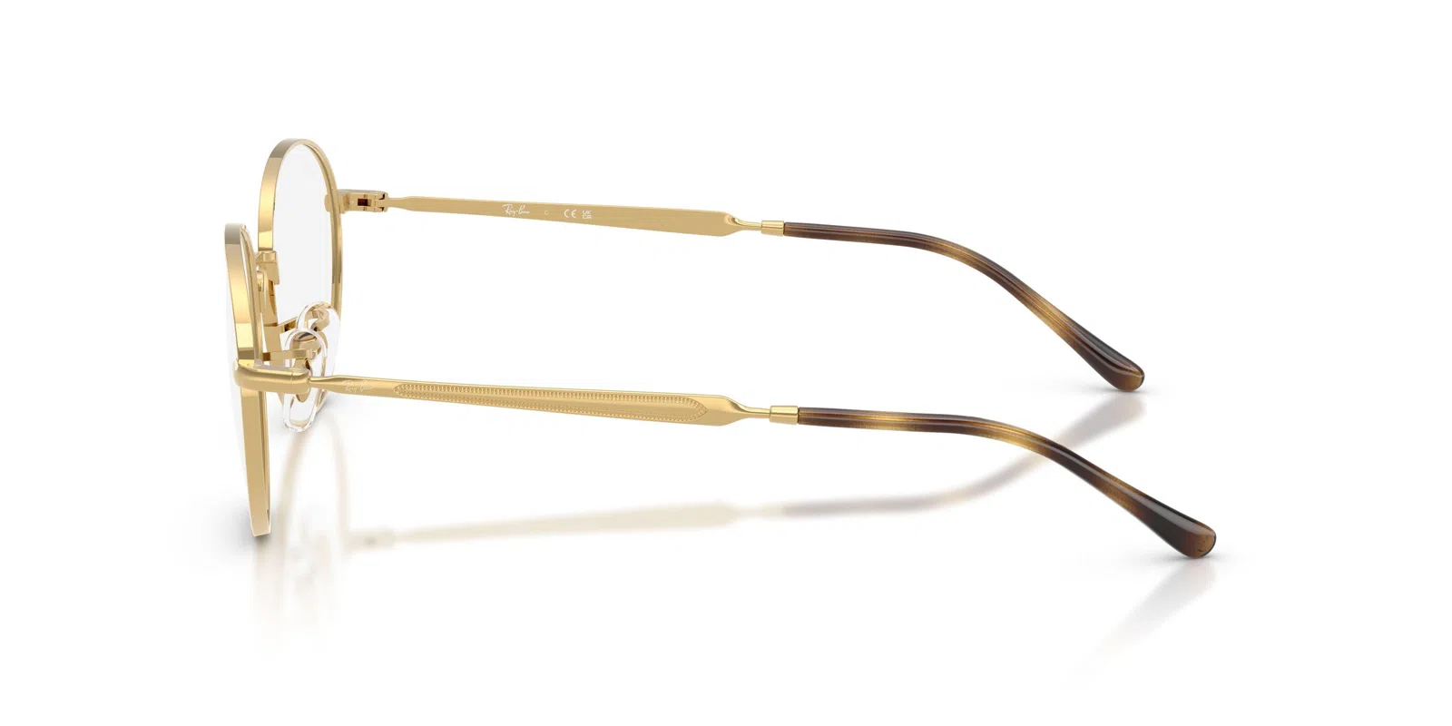 Ray-Ban 6558 Eyeglasses - view 31